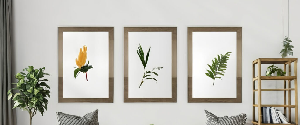 Three framed botanical prints hung in perfect alignment above a couch in a modern living room