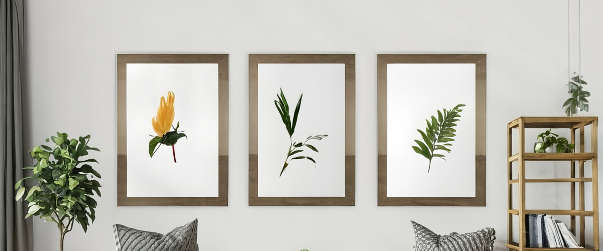 Three framed botanical prints hung in perfect alignment above a couch in a modern living room